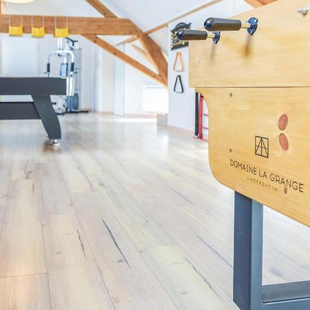 Domaine La Grange Ungersheim - Gite La Grange 5 Etoiles Zewnętrze zdjęcie